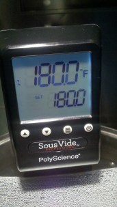 Polyscience Sous Vide Professional